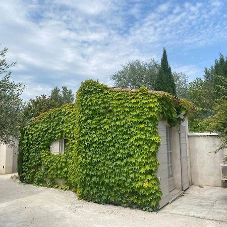 Le Mas Du Chemin : Mas Typique Des Alpilles Paradou Buitenkant foto